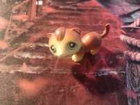 LPS fretka oryginalna
