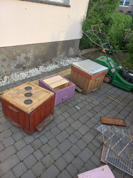 Ule 10 ramkowe wielkopolskie 5 sztuk