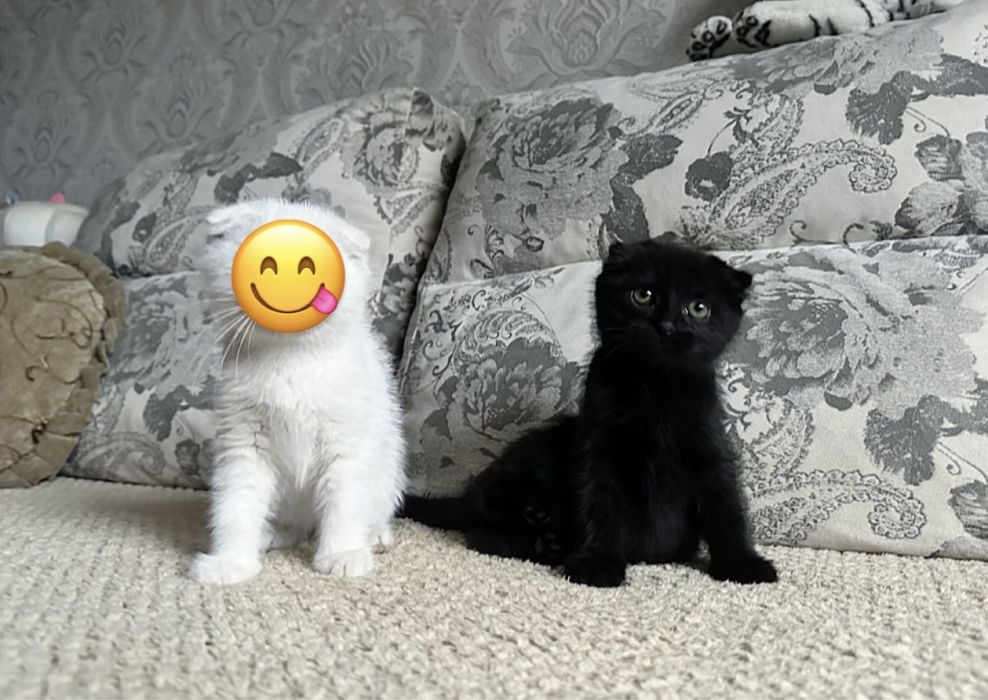 Ценителям Красивого )