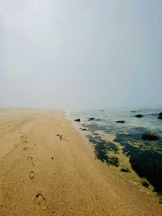 Casa Bus transformado