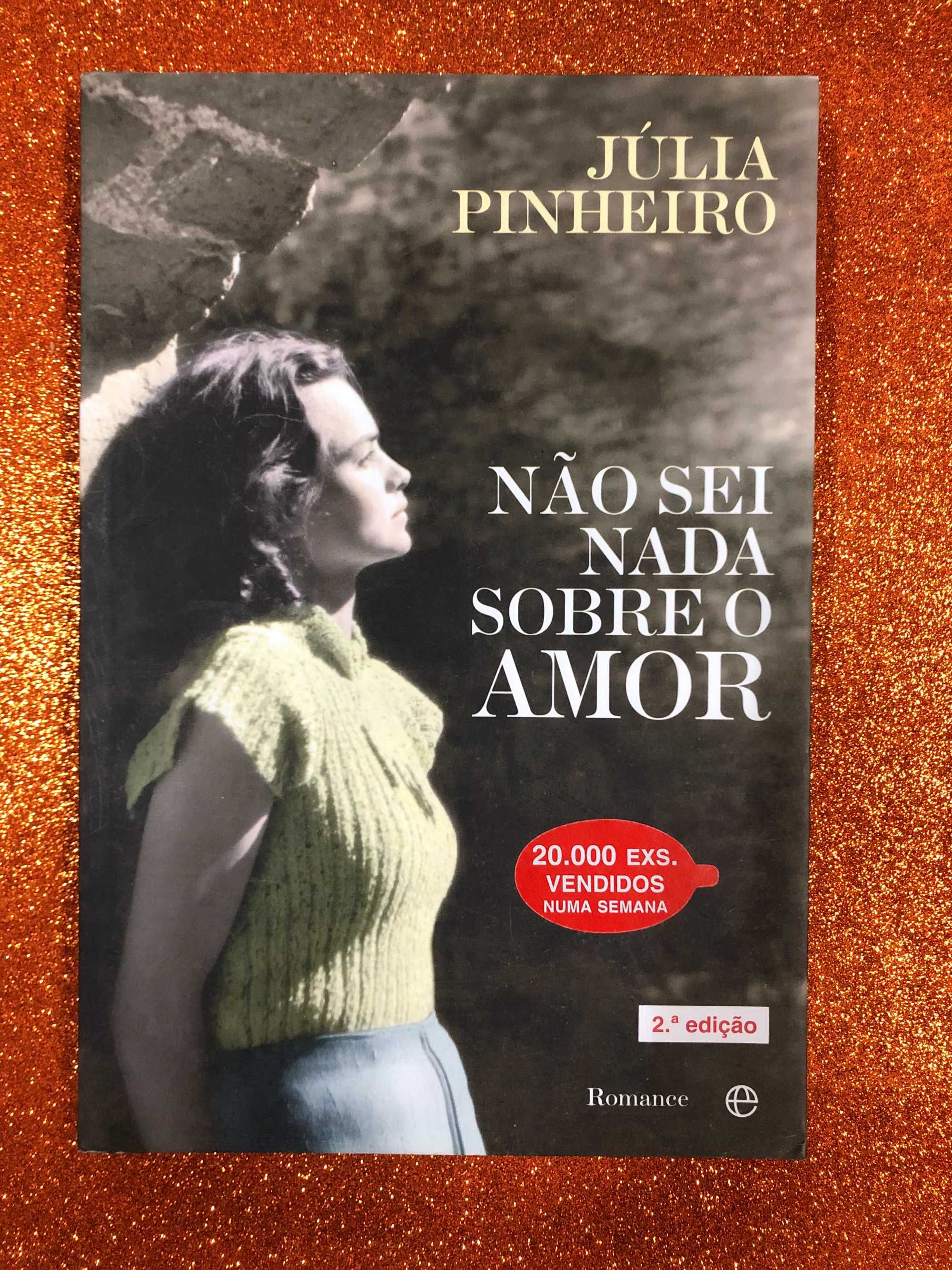 Não sei nada sobre o amor - Julia Pinheiro
