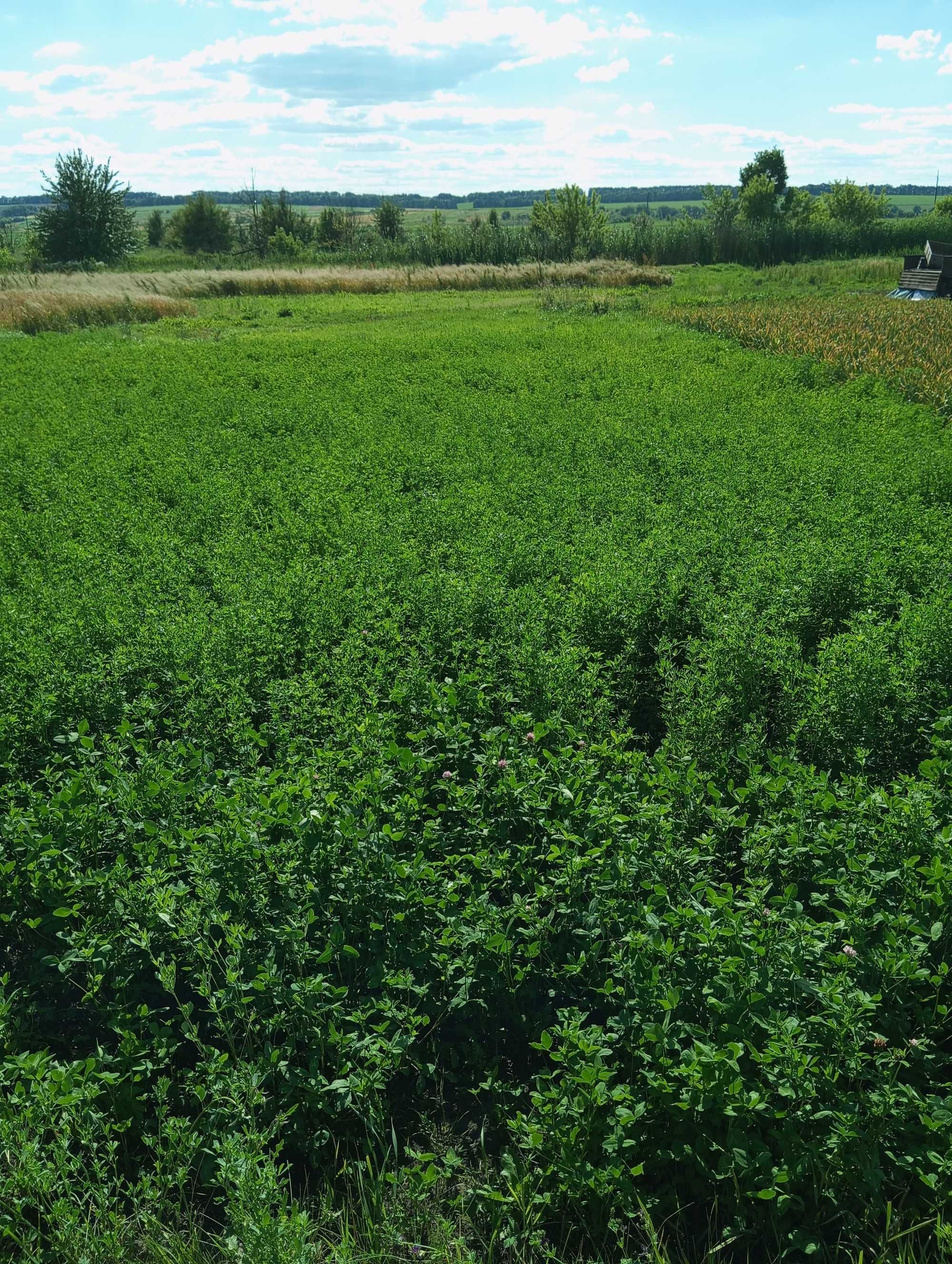 Продаж ділянки  м.Решетилівка