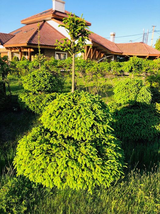 Будинок в Трускавці для бізнесу