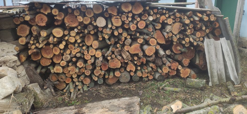 Дрова (слива суха та тверда порода)