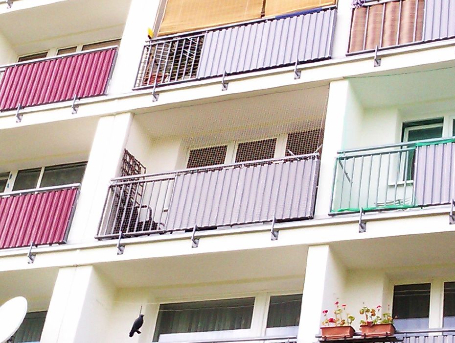 Montaż,zakładanie siatki na balkonie,oknie dla kotka,przeciw ptakom.