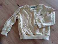 Sweterek bluzka bluza Fox & bunny 80 sinsay