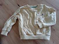 Sweterek bluzka bluza Fox & bunny 80 sinsay