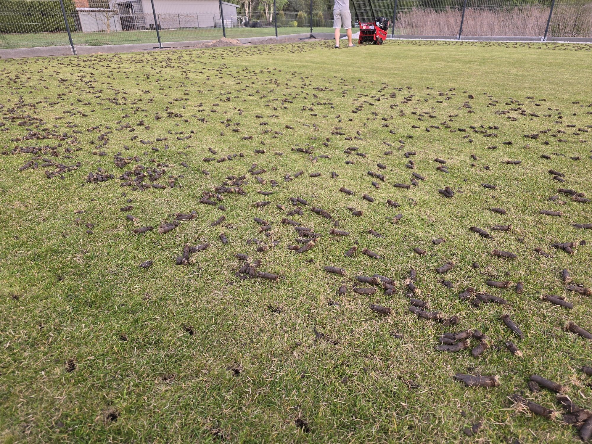 Wynajem aerator rurkowy, wertykulator siewnik do trawy walec niwelator