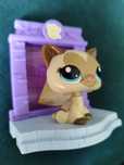 Littlest pet shop kot syjamski na scenie
