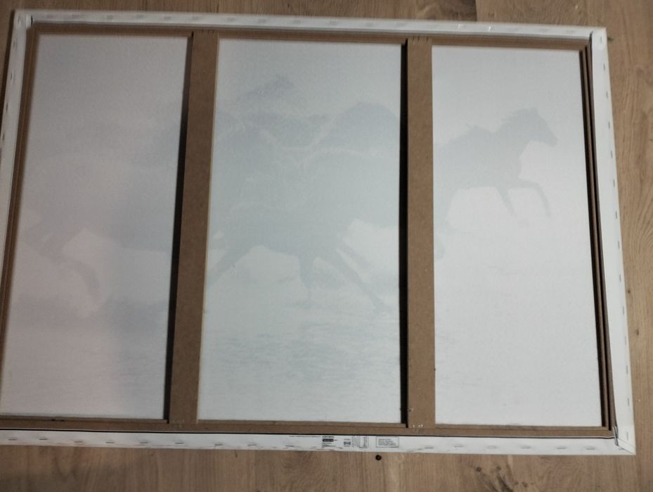 Obraz z końmi które biegną