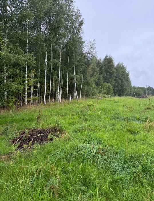 Dwie działki rolne 0.99ha  Kowale Oleckie