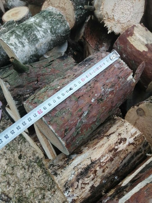 sprzedam sosna sucha