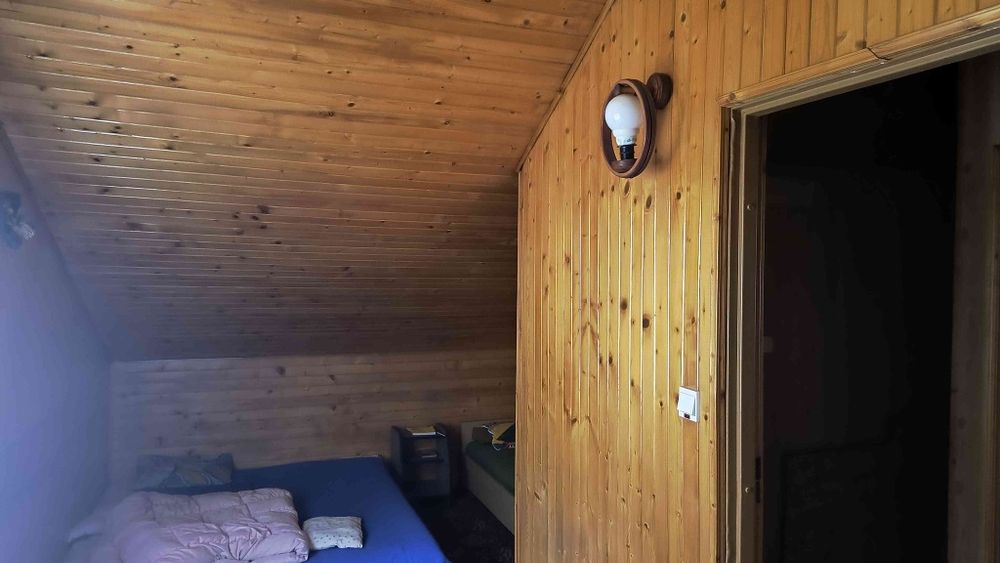 Działka leśna z domem w Sokolnikach- las