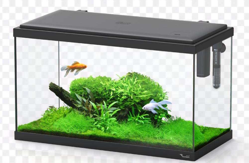 Aquários de diferentes tamanhos e modelos