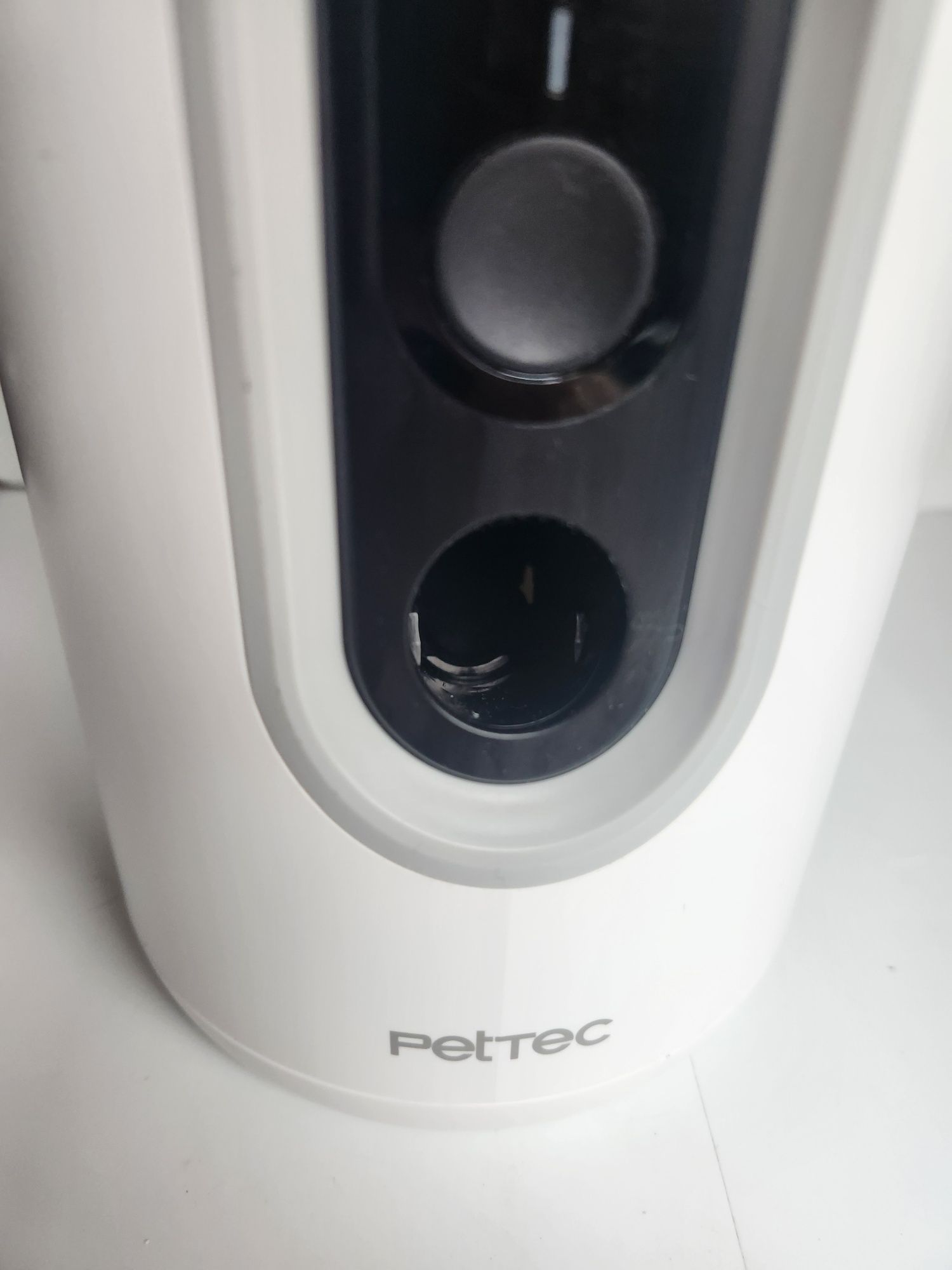 Petcam podajnik z kamera dla psów