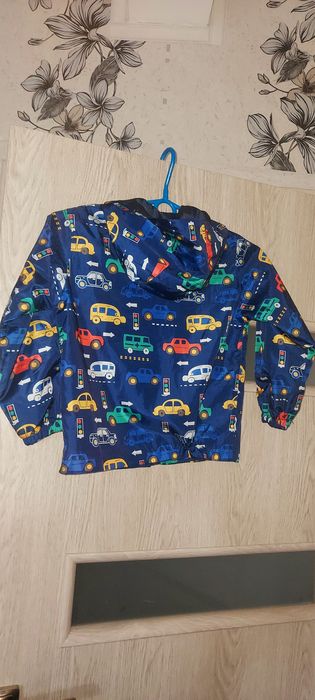 Kurteczka wiatrówka