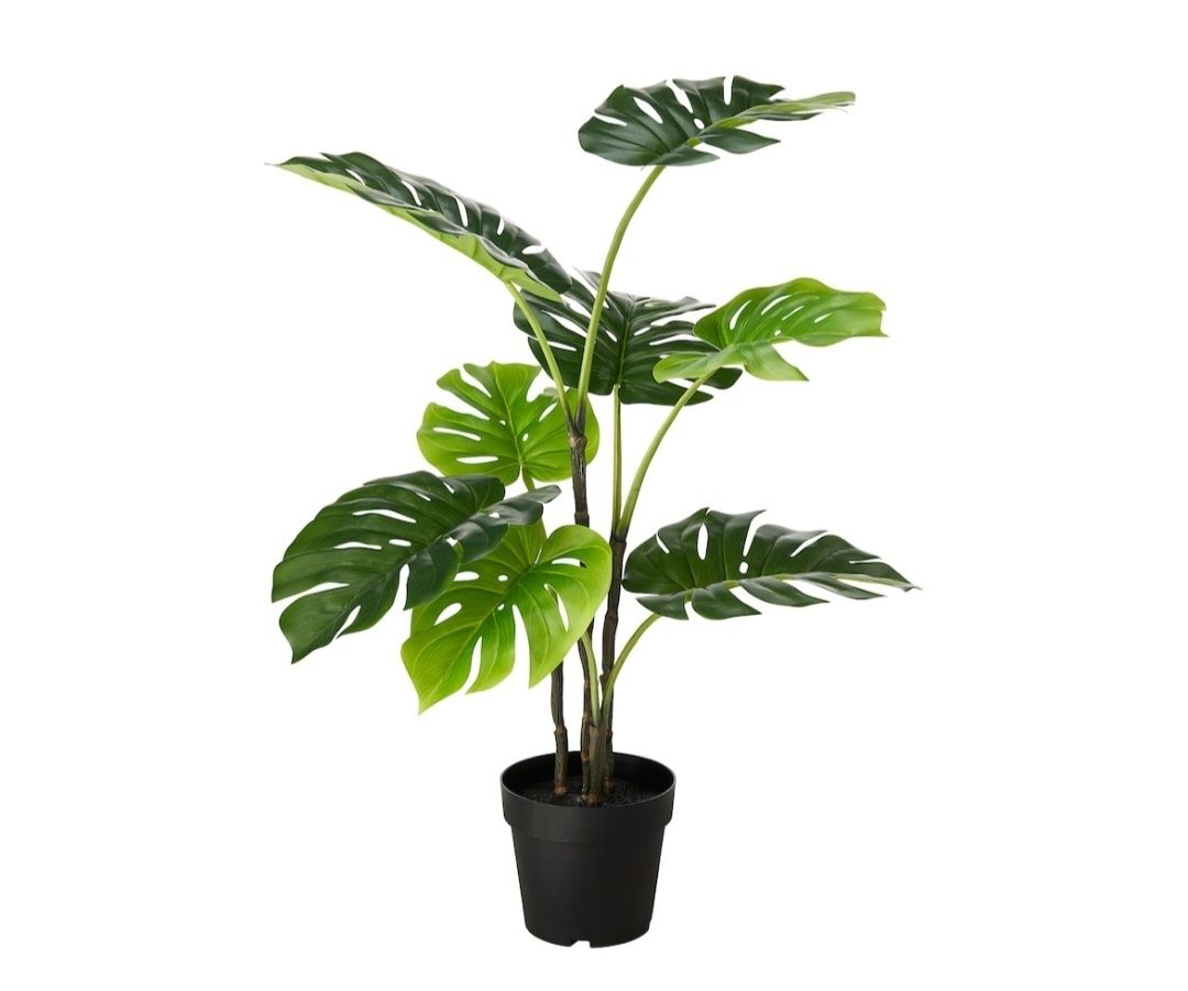 Monstera fejka Ikea