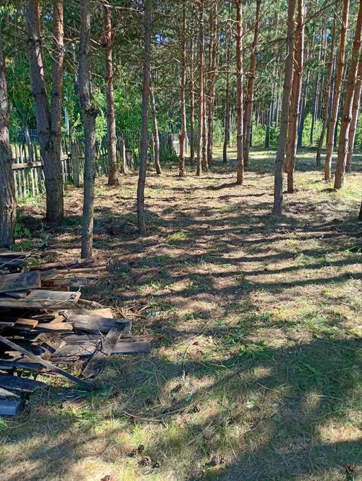Продається земельна ділянка 12 соток поряд ліс