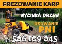 Frezowanie karp, pni, wycinka drzew