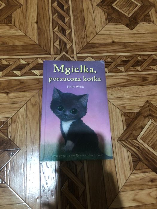 Książka mgiełka porzucona kotka