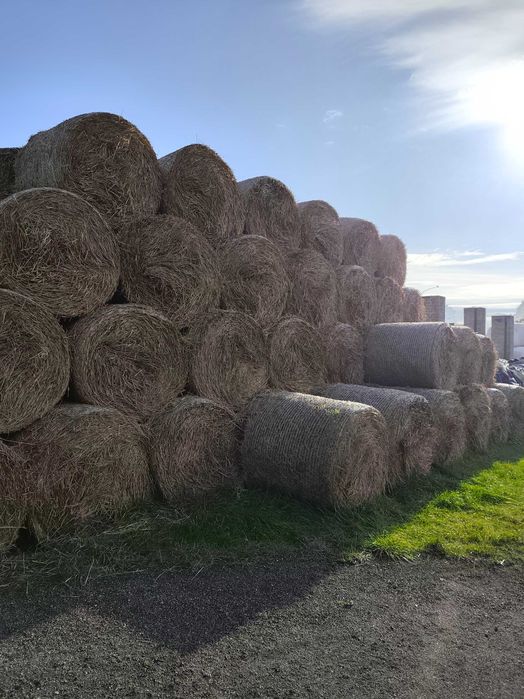 Sprzedam Słomę zimową