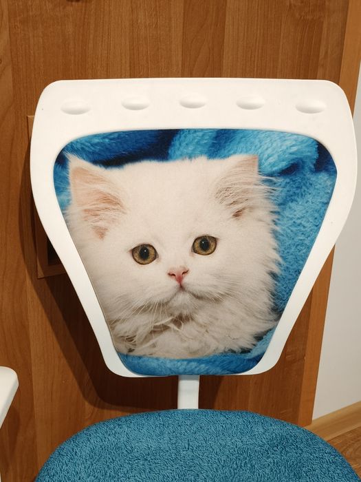 Krzesełko krzesło obrotowe kotek dla miłośnika kotków