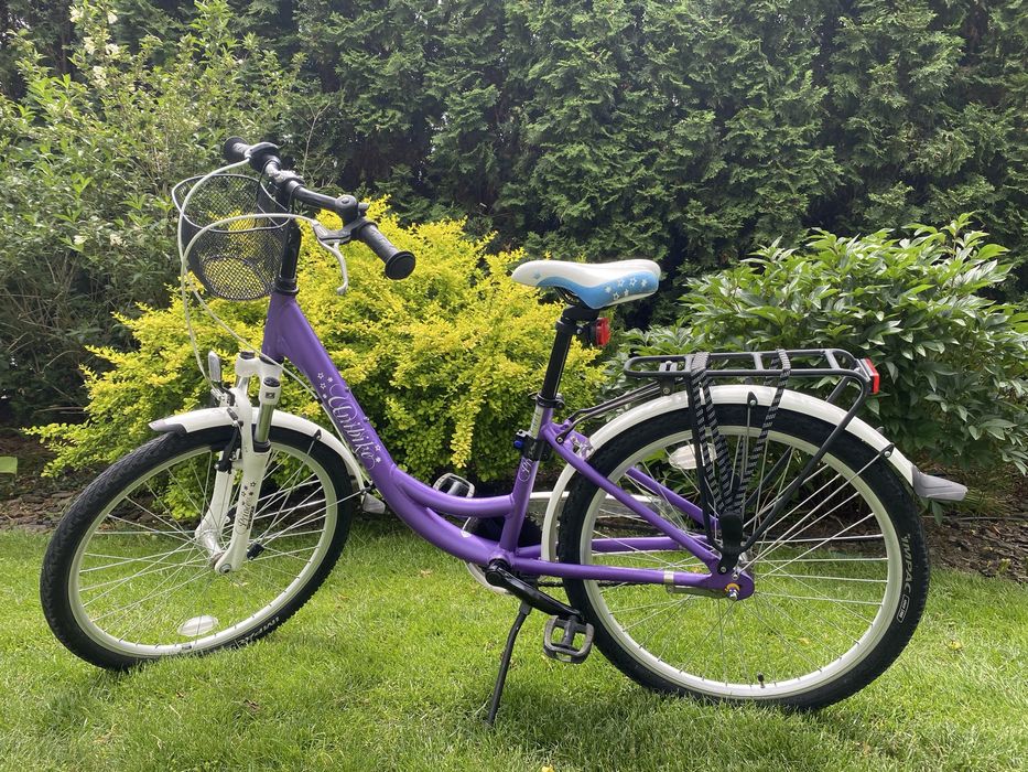 Rower młodzieżowy Unibike Princess 3