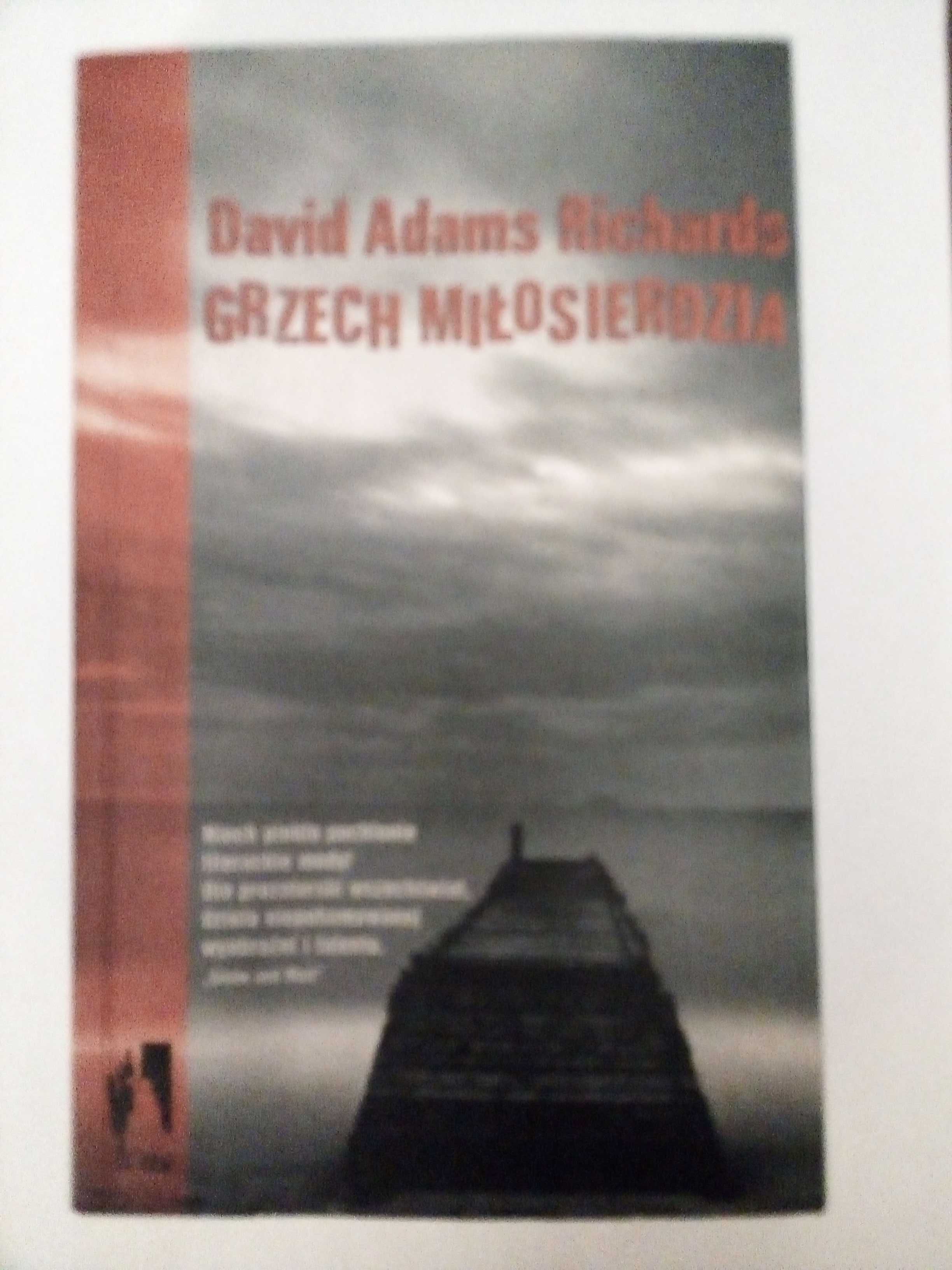 Grzech Miłosierdzia, aut. David Adams Richards