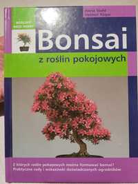 Bonsai z roślin pokojowych