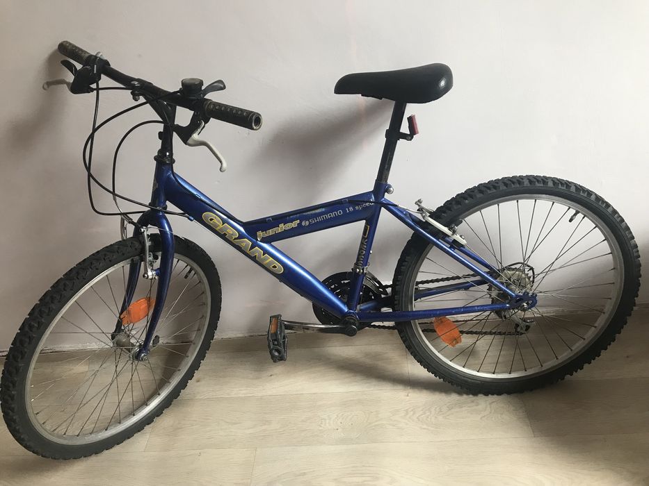 Rower KROSS Grand Junior 24" kolor niebieski