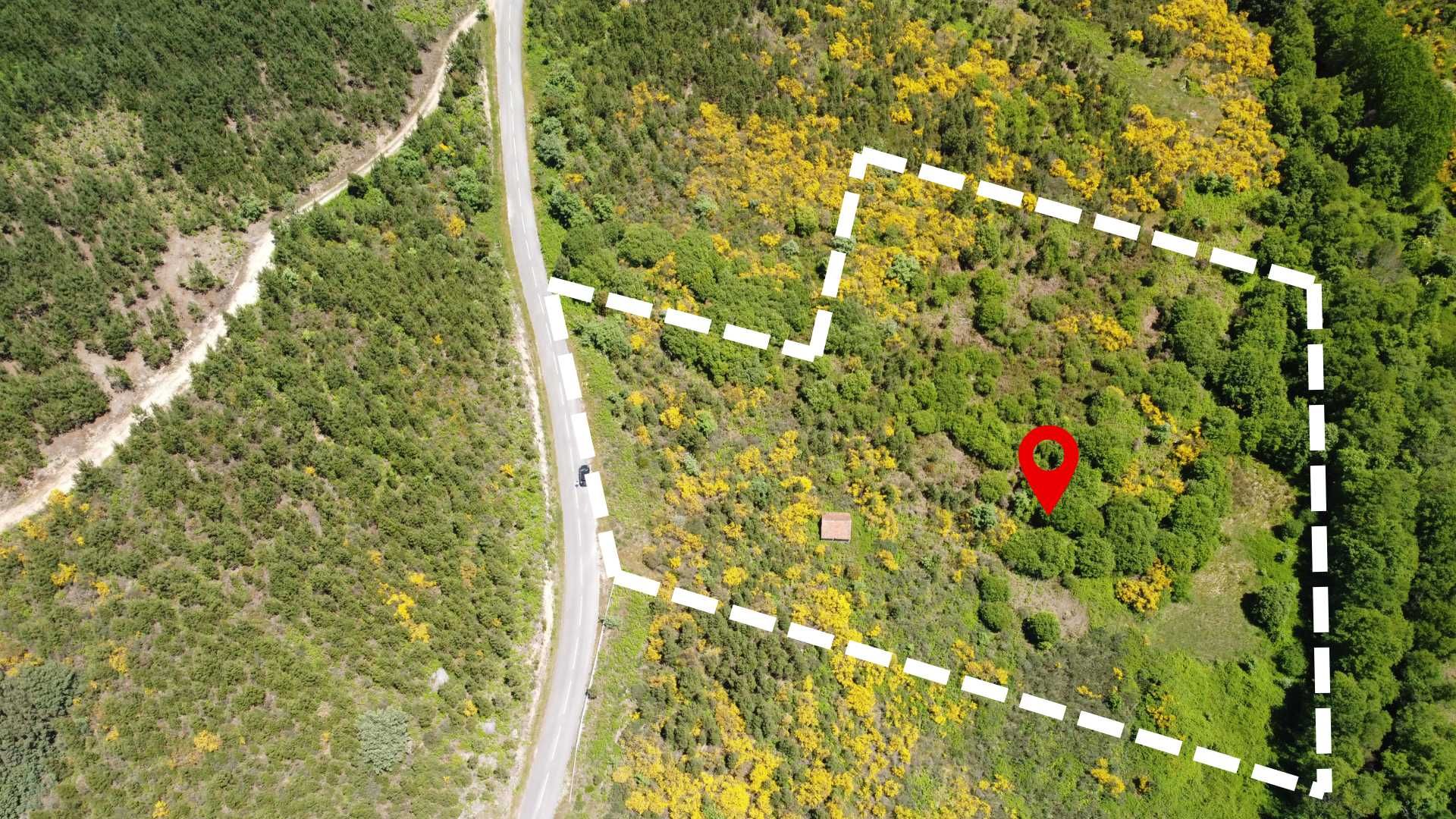 Terreno em Fornos de Algodres