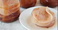 Kombucha SCOBY z macierzą Kombucza EKO VEGE