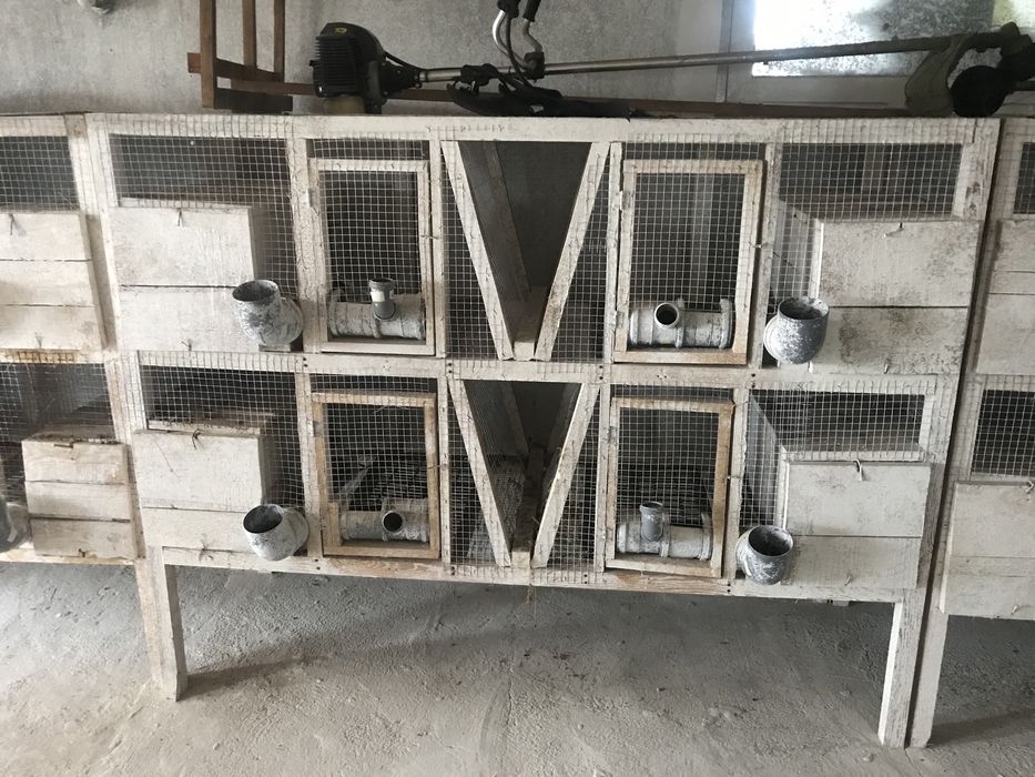 Клетки для кролей