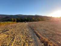 2 Lotes de terreno com viabilidade de construção - Oleiros