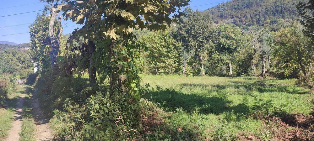 Vendo terreno com 1.074 m² em Souto, Terras de Bouro