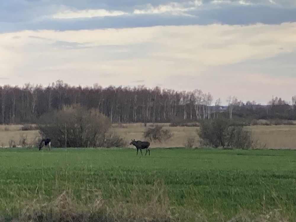 Dom nad jeziorem Mazury , basen, klimatyzacja, grill.