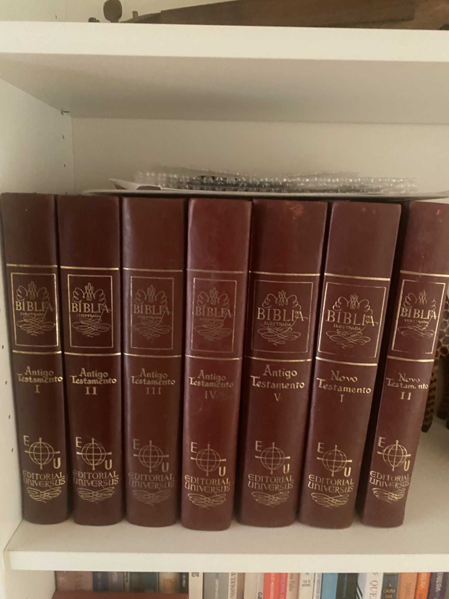 Biblia Antiga, 1961 ( 7 vol. velho e novo testamento)