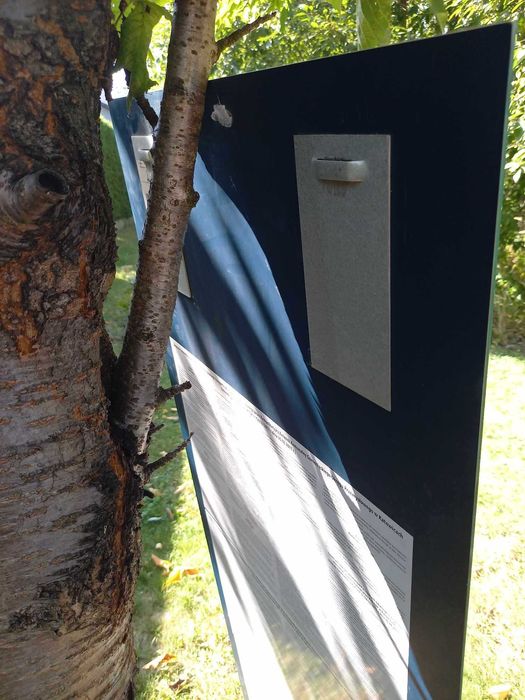 Lustro Dubiel 50x123 cm