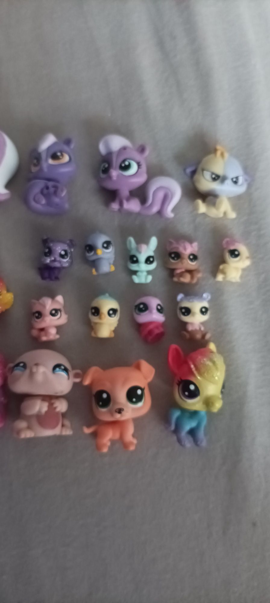 Lps Littlest pet shop zestaw 24 sztuki