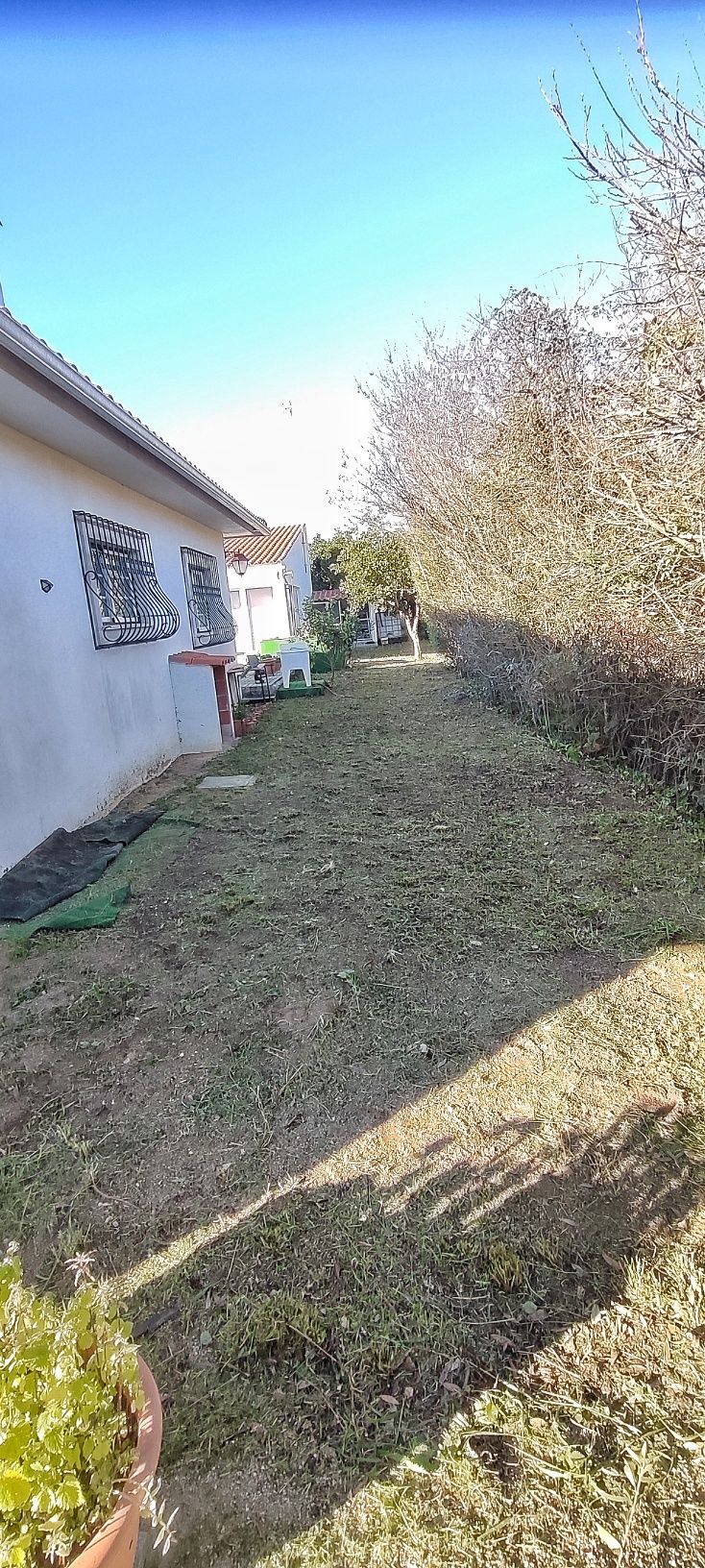 Limpeza de terrenos - Jardinagem