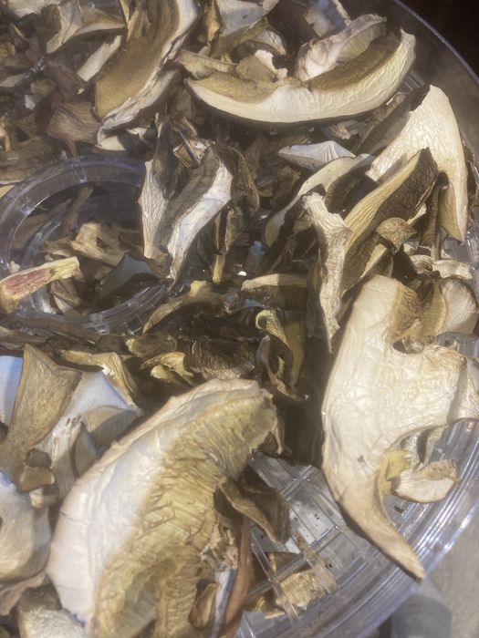 Borowik +podrzybek suszony