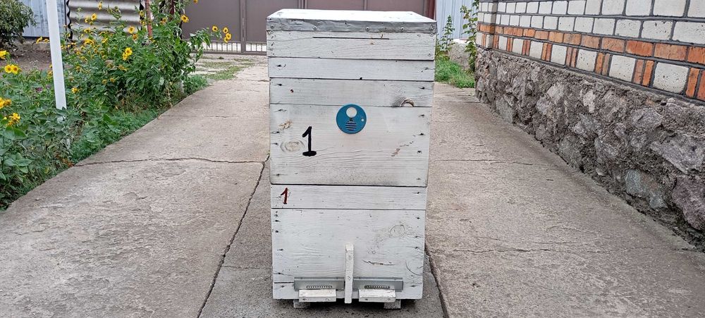 вулики дадан 10 -рамок