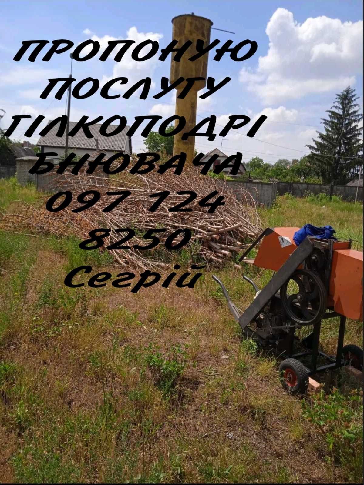 Оренда вишки тура, ліса..
