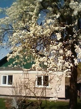 Продається будинок Хмельницька обл,Староконстянтинівський р-н.