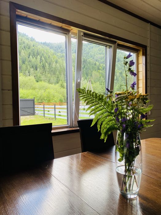 Житло у Карпатах, оренда, котедж