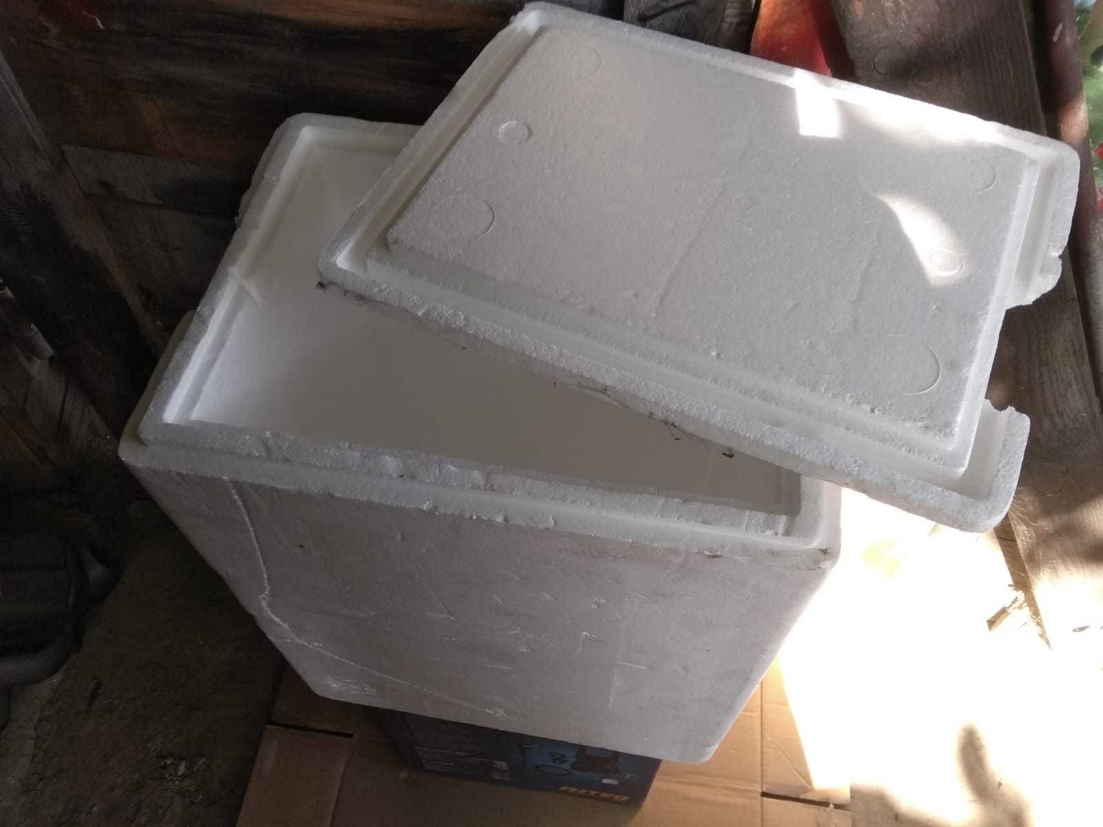Pudełko izotermiczne styropianowe 60x40x20 lodówka