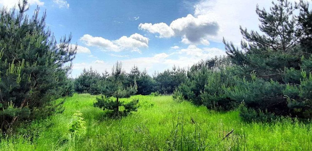 Вілла Шале серед молодих сосен.Вибір готових будинків.2роки розстрочки