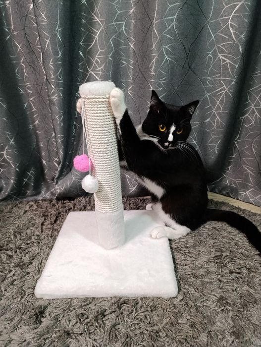 Когтеточка царапка  для котенка