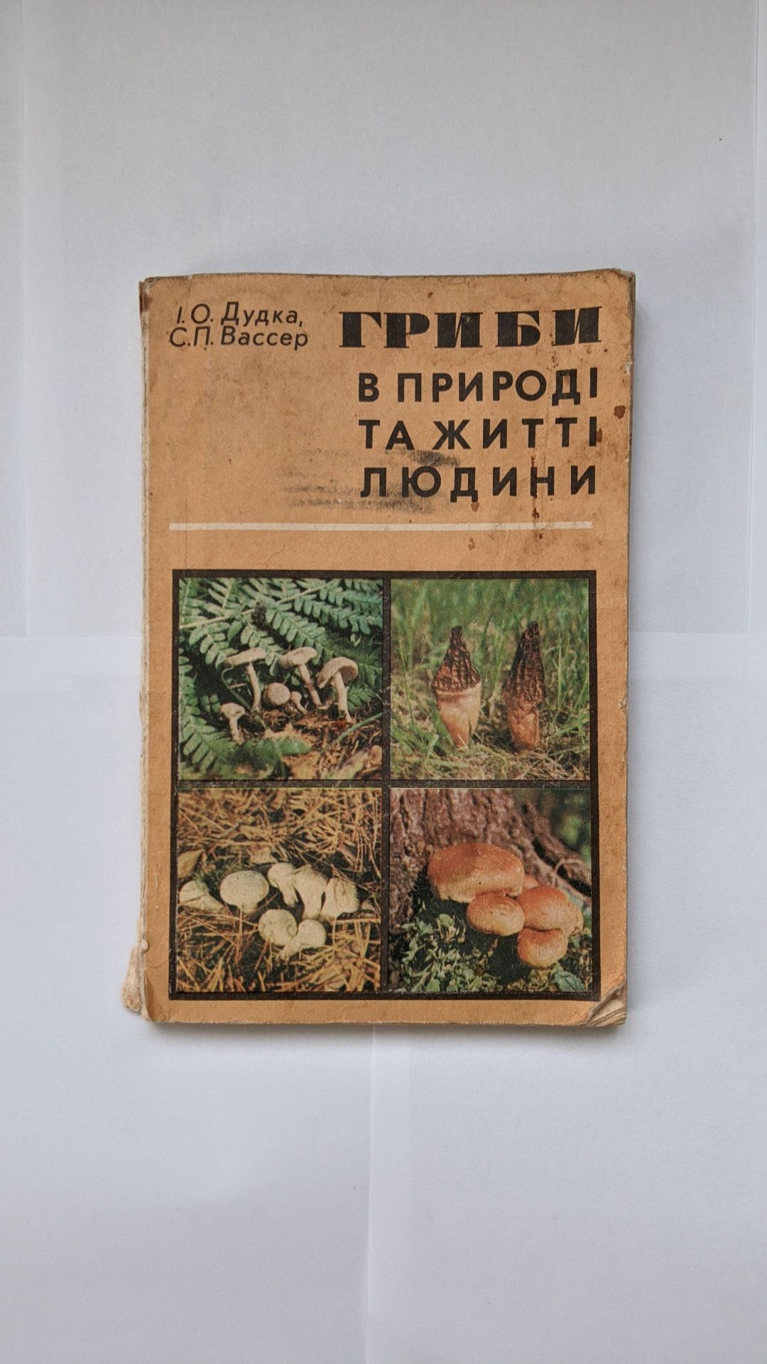 Гриби в природі та житті людини