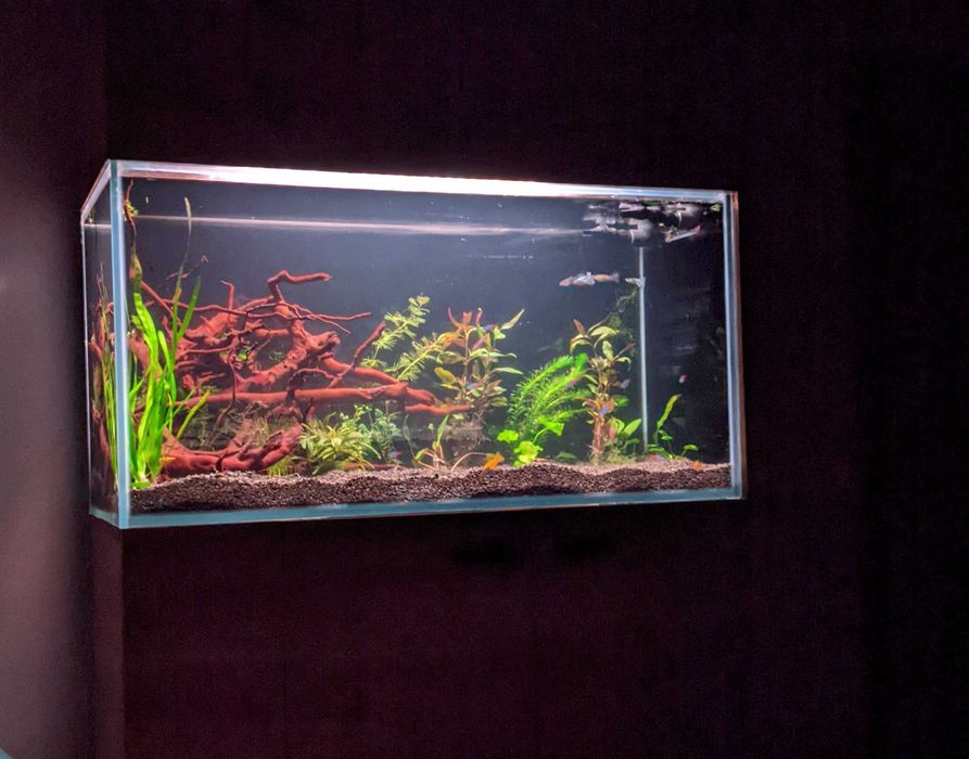 akwarium morskie/słodkowodne full optiwhite